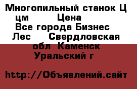  Многопильный станок Ц6 (цм-200) › Цена ­ 550 000 - Все города Бизнес » Лес   . Свердловская обл.,Каменск-Уральский г.